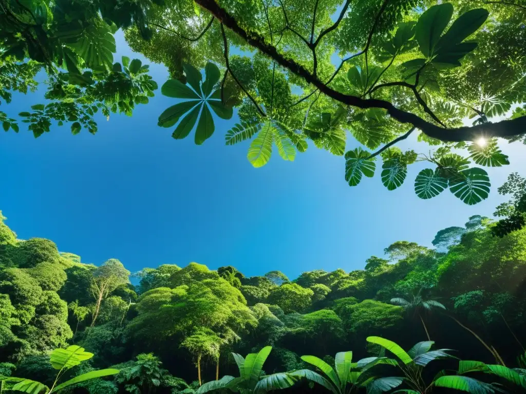 Imagen panorámica de la exuberante selva lluviosa de Costa Rica, con follaje verde vibrante y un cielo azul claro